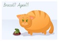 Vector funny animal. Fat cute cat on a diet. Postcard with a comic phrase. Sad cat with an plate of broccoli. Isolated object on