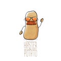 Vector funny cartoon cute brown hipster potato