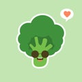 vector funny cartoon cute green smiling broccoli character isolated on color background. vegetable broccoli. Fresh green Vegetable