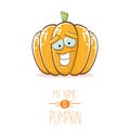 Vector funny cartoon cute orange smiling pumkin isolated on white background. My name is pumkin vector concept Royalty Free Stock Photo