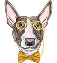 Vector funny cartoon hipster dog Bullterrier Royalty Free Stock Photo