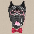 Vector funny cartoon hipster dog Cane Corso