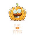 Vector funny cartoon cute orange smiling pumkin isolated on white background. My name is pumkin vector concept Royalty Free Stock Photo