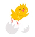 Vector funny chick icon. Spring, Easter or farm little bird illustration. Cute yellow just hatched chicken flying out of egg shell Royalty Free Stock Photo