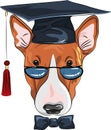 Vector funny graduated dog Bullterrier Royalty Free Stock Photo