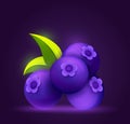 Vector Game Bilberry