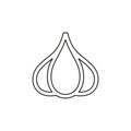 Vector Garlic illustration isolated