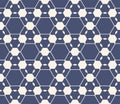 Vector geometric seamless pattern. Abstract blue and white linear grid texture Royalty Free Stock Photo
