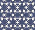 Vector geometric seamless pattern. Abstract blue and white linear grid texture