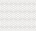 Vector geometric seamless pattern with lines, grid, lattice, net, hexagons, repeat tiles. Abstract linear gray and white Royalty Free Stock Photo