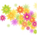 Vector Gerbera flower background