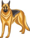 Vector. German Shepherd.