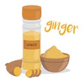 Vector ginger illustration isolated in cartoon style.