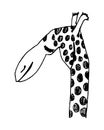 Vector Of A Giraffe Head On White Background, Wild Animals. Cute giraffe drawing. The design of postcards, booklets, flyers Royalty Free Stock Photo