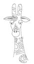 Vector Of A Giraffe Head On White Background, Wild Animals. Cute giraffe drawing. The design of postcards, booklets.