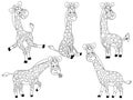 Vector Giraffes Set