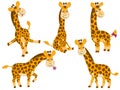 Vector Giraffes Set