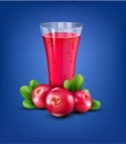 Vector glass cup with juice of cranberries on a blue background