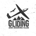 Vector Gliding club retro badge.