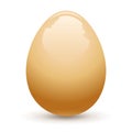 Vector glossy realistic egg, isolated on white background Royalty Free Stock Photo
