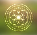 Vector Glowing Flower of Life Symbol Illustration