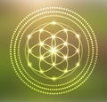 Vector Glowing Flower of Life Symbol Illustration