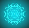 Vector Glowing Flower of Life Symbol Illustration on a Gradient Background