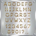 Vector gold coated alphabet letters, digits and punctuation on silver background Royalty Free Stock Photo