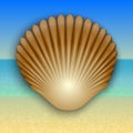 Vector gold shell illustration on the summer sea