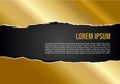Vector gold torn texture with black background