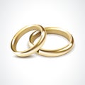 Vector Gold Wedding Rings Isolated Royalty Free Stock Photo