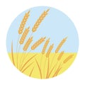 vector gold wheat field and blue sky with Barley or Rye illustration for bread packaging, beer labels etc