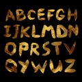 Vector golden alphabet. Unique brushed font Royalty Free Stock Photo