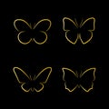 Vector of golden butterfly on black background. Insects.