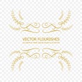 Vector Golden Calligraphic Frame, Isolated Flourish Design Element, Ornamental Border.