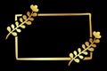 vector golden doodle sketch flower rectangle frame, black background Royalty Free Stock Photo