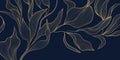 Vector golden floral leaf pattern, tropical and botanical elements with linear decorative details. Luxury backgrounds, wallpaper Royalty Free Stock Photo