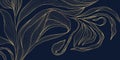 Vector golden floral leaf pattern, tropical and botanical elements with linear decorative details. Luxury backgrounds, wallpaper Royalty Free Stock Photo