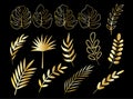 Vector golden leaves set. Collection of branch and leaf isolated on black background. Botanical gold garden element Royalty Free Stock Photo