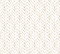 Vector golden lines texture. Abstract geometric seamless pattern with lattice Royalty Free Stock Photo