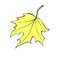 Vector golden maple leaf in flat doodle style. Hand drawn clip art, symbol of autumn, nature, Canada Royalty Free Stock Photo