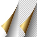 Vector golden metallic realistic paper page corner