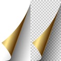 Vector golden metallic realistic paper page corner Royalty Free Stock Photo