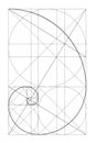 Vector golden relationship template. Golden spiral, golden ratio, Fibonacci array, Fibonacci number. Divine proportions.