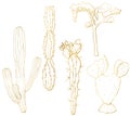 Vector golden sketch set with mexican cacti. Hand painted floral collection: desert cactus and tree. Botanical line art
