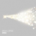 Vector golden sparkling falling star. Vector illustration