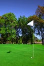 Vector Golf Course Flag Royalty Free Stock Photo