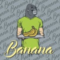 Vector gorilla with bananas illustration Royalty Free Stock Photo