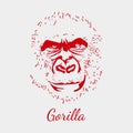 Vector gorilla. Red background. Animal postcard.