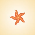 Vector gradient orange starfish icon for web. Isolated pictogram with a sea star on a sand background Royalty Free Stock Photo